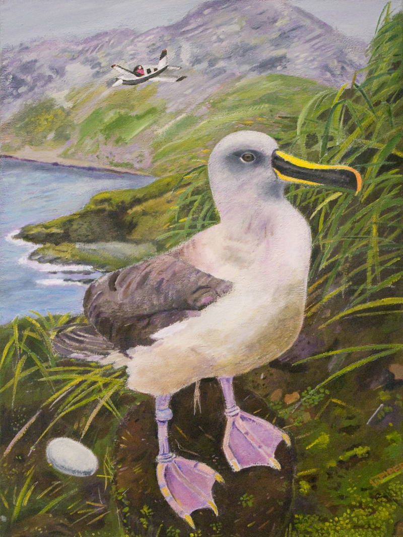 Thinking About Laying An Egg